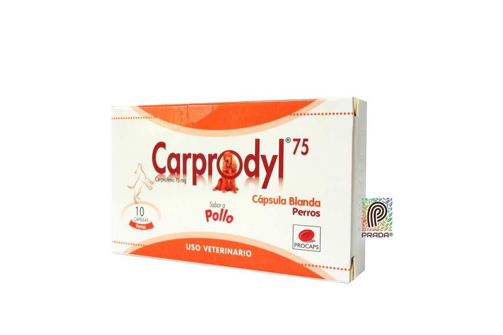 CARPRODYL 75MG CAP X 10 UND | PRADA SABINC
